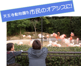 「天王寺動物園を市民のオアシスに！」フラミンゴをながめる親子の写真